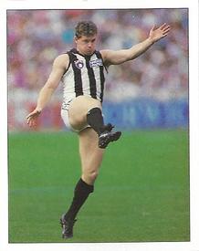 1994 Select AFL Stickers #59 Paul Williams Front